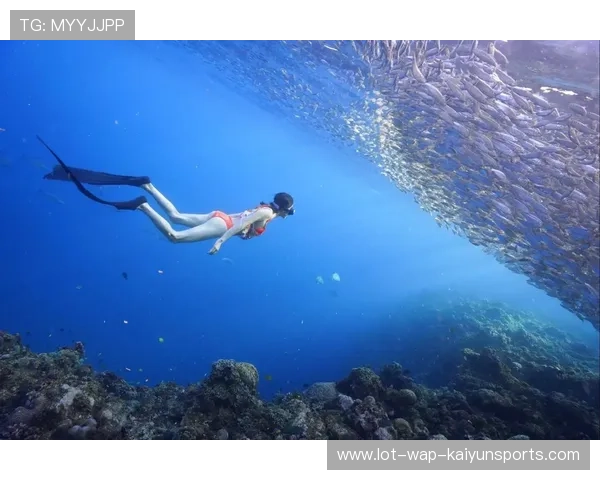 海底潜水深探，探索神秘的海底世界宝藏，我想看海底潜水
